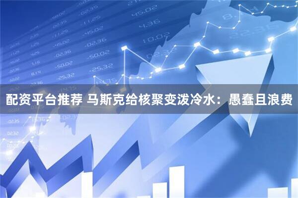 配资平台推荐 马斯克给核聚变泼冷水：愚蠢且浪费