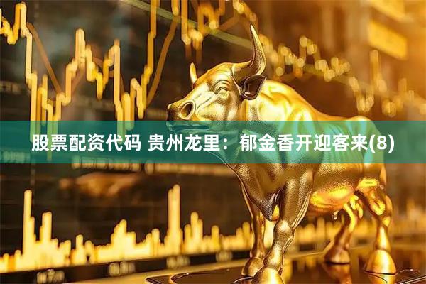 股票配资代码 贵州龙里：郁金香开迎客来(8)